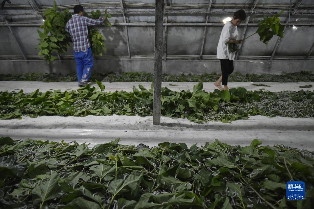 万炮捕鱼2游戏